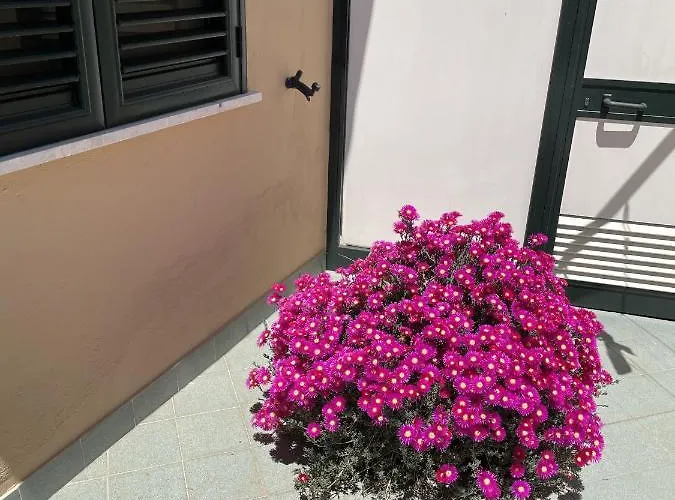 Serendipity * Agerola